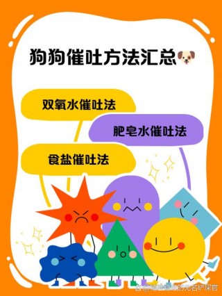 狗狗喝盐水能催吐吗，（狗狗喝盐水能催吐吗视频）