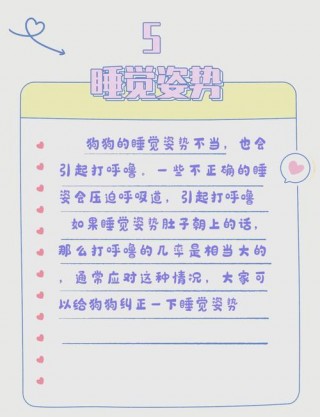 狗狗会打呼噜吗，（狗也会打呼）