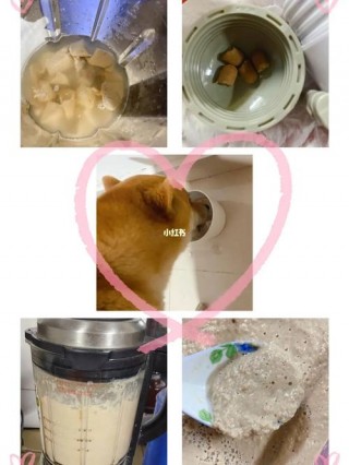 怎么喂狗狗吃药？给狗吃什么药能让它不叫（最新）