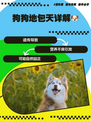 狗狗带天坑是什么意思？狗带天坑是啥意思（最新）