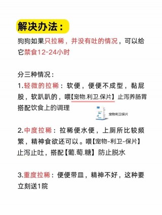 狗狗肚子响是怎么回事？狗狗肚子发出响声是为什么（最新）