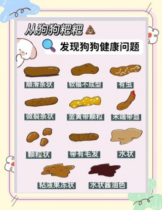 狗狗多大可以憋尿，狗狗多大憋尿憋屎正常？