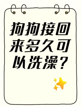 狗狗到家几天可以洗澡，狗狗到家多少天可以出门？