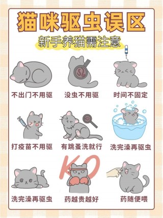 猫咪多久吃一次驱虫药？猫咪多久吃一次驱虫药呢（最新）
