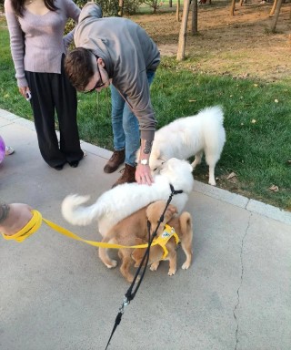 婴儿和狗狗能一起养吗，婴儿和狗狗能一起养吗会传染吗？