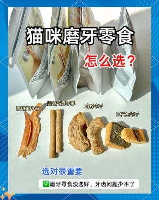 猫咪磨牙用什么，（猫咪磨牙用什么好）