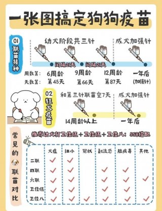 狗狗打疫苗多久一次，（狗狗打疫苗多少天打一次）