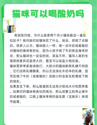 猫猫能喝酸奶吗？猫咪可以喝酸奶么（最新）