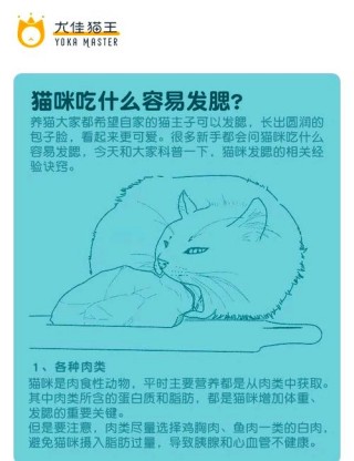 猫咪吃什么发腮，给猫吃什么能发腮？