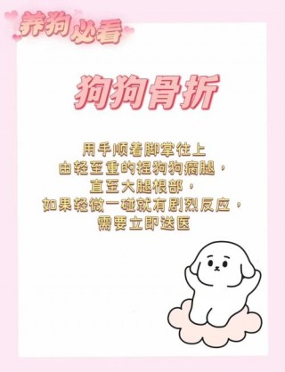 狗狗扭伤和骨折的症状？狗狗扭伤和骨折的症状区别（最新）