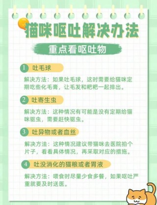 猫咪老是吐怎么办，猫老吐是怎么回事?？