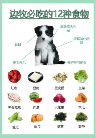 狗狗能吃青豆吗？狗狗能吃青豆嘛（最新）