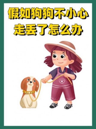 狗狗丢了怎么找，狗狗丢了怎么找回来土方法？