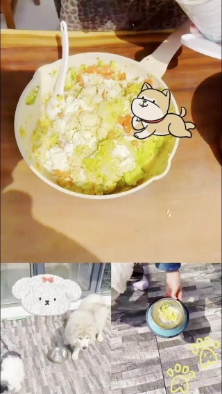 胡萝卜怎么做给狗狗吃，胡萝卜怎样给狗狗吃？