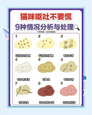 猫咪吐了吃什么药好？猫咪吐了吃什么药好使（最新）