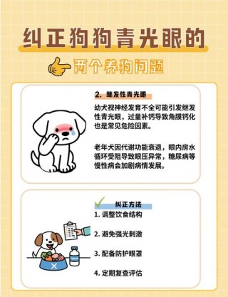 狗狗青光眼能治好吗？狗狗青光眼可以治愈吗（最新）