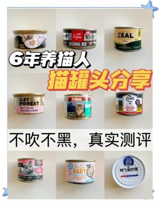 猫咪主食罐头哪个牌子好，猫咪主食罐头哪个品牌好？