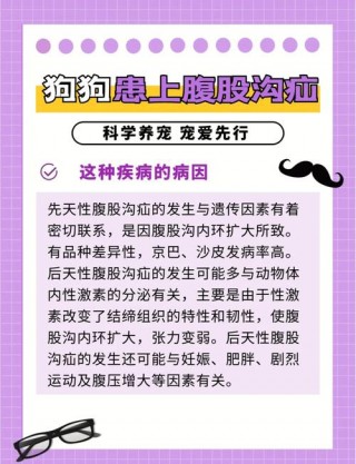 狗狗得了疝气怎么办，（狗狗得了疝气怎么办?）