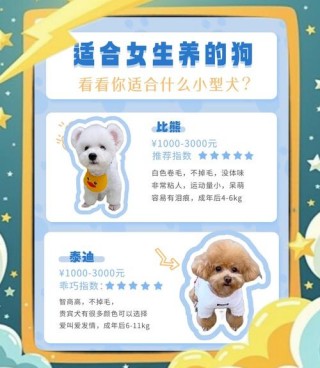 养什么狗狗比较好，（养什么狗狗比较好养又不会掉毛）