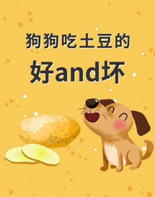 狗狗可以吃土豆泥吗？宠物狗可以吃土豆泥吗（最新）