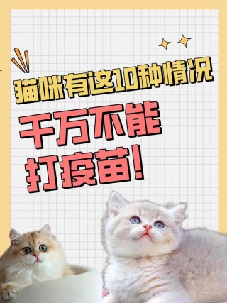 不给猫咪打疫苗可以吗，（不给猫打疫苗行吗）