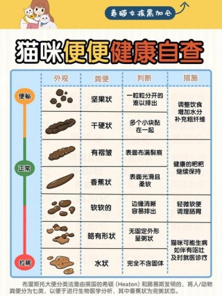 猫咪一天拉几次正常？猫咪一天拉几次正常的屎（最新）