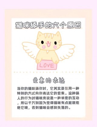 为什么猫咪喜欢舔人手，（猫为什么喜欢舔人的手和脚）