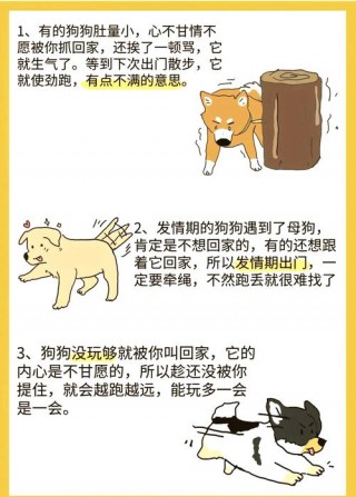 如何训练小狗狗听话，（怎样训练狗狗听话）