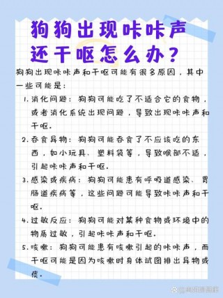 狗狗干呕怎么办，（狗狗出现呕吐是怎么回事）