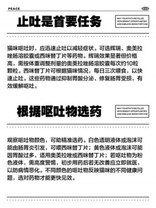 猫咪呕吐后要禁食多久，猫咪呕吐后几小时不能吃东西？