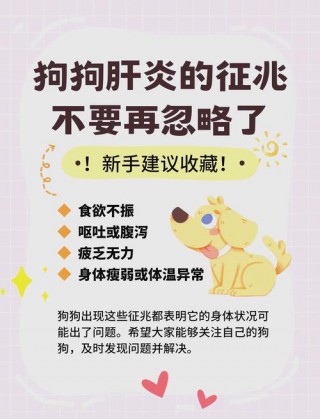 狗狗肝损伤的症状，（狗狗肝受损怎么治疗）