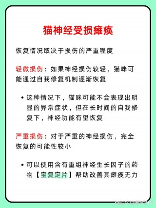 猫咪神经受损能恢复吗，猫咪神经受损能自愈吗？