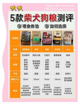 狗狗能喝益力多吗，（狗狗喝益力多有什么用）