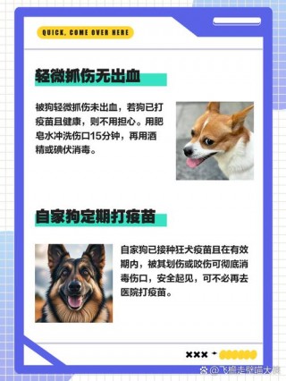 被自家狗狗抓伤要不要打针，被自家狗狗抓伤需要打疫苗吗？