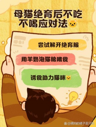 猫咪不喜欢喝水，（猫咪不喜欢喝水会有什么病）