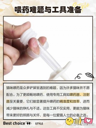 如何给猫咪喂药，如何给猫咪喂药手法？
