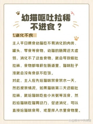 猫咪几天不吃饭？猫咪几天不吃东西怎么办（最新）