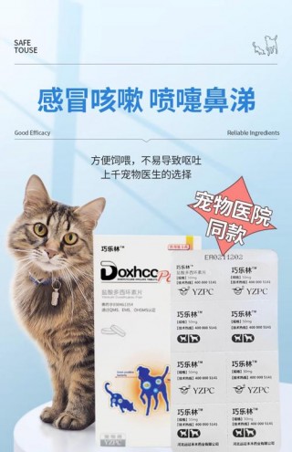 狗狗鼻塞怎么办？狗狗鼻塞怎么办一直喘（最新）