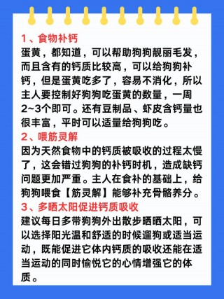 狗狗吃什么长骨架？狗狗吃什么长骨架最快（最新）