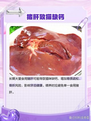 猫咪能吃猪肝吗？猫咪可以吃猪肝脏吗（最新）