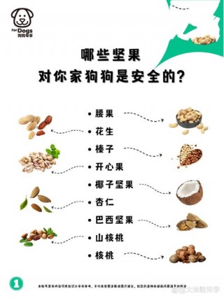 小狗狗可以吃核桃吗？小狗狗可以吃核桃吗（最新）