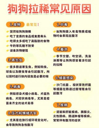 狗狗拉肚子要禁食吗，（狗狗拉稀像泥浆要警惕）