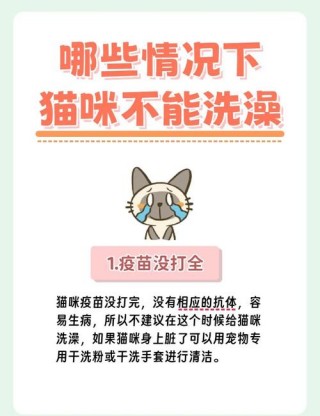 猫猫多大可以洗澡？猫猫多大洗澡不害怕（最新）