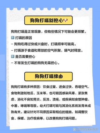 狗狗肚子胀气怎么排气？狗狗肚子胀气如何快速消除（最新）