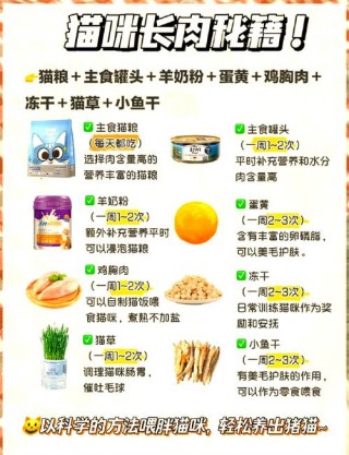 猫咪吃什么长肉，哪个猫粮吃了长肉？