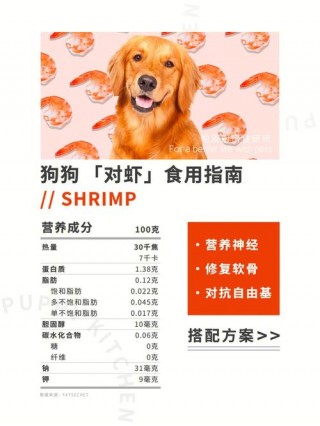 狗狗能吃虾仁吗？狗子能吃虾仁吗?（最新）