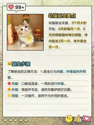 猫咪几个月可以驱虫，（猫咪几个月可以驱虫洗澡）