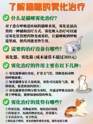 猫咪做雾化有什么作用，（猫咪做雾化是什么意思）