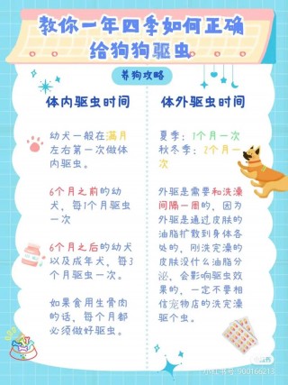 猫咪多久做一次驱虫，（猫多久进行一次驱虫）