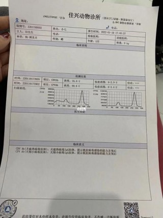 狗狗抗体检测的标准值？狗狗的抗体检测多少钱（最新）